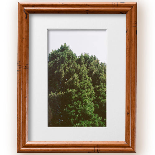 8x10 Distressed Oak Picture Frame Matted to 5x7