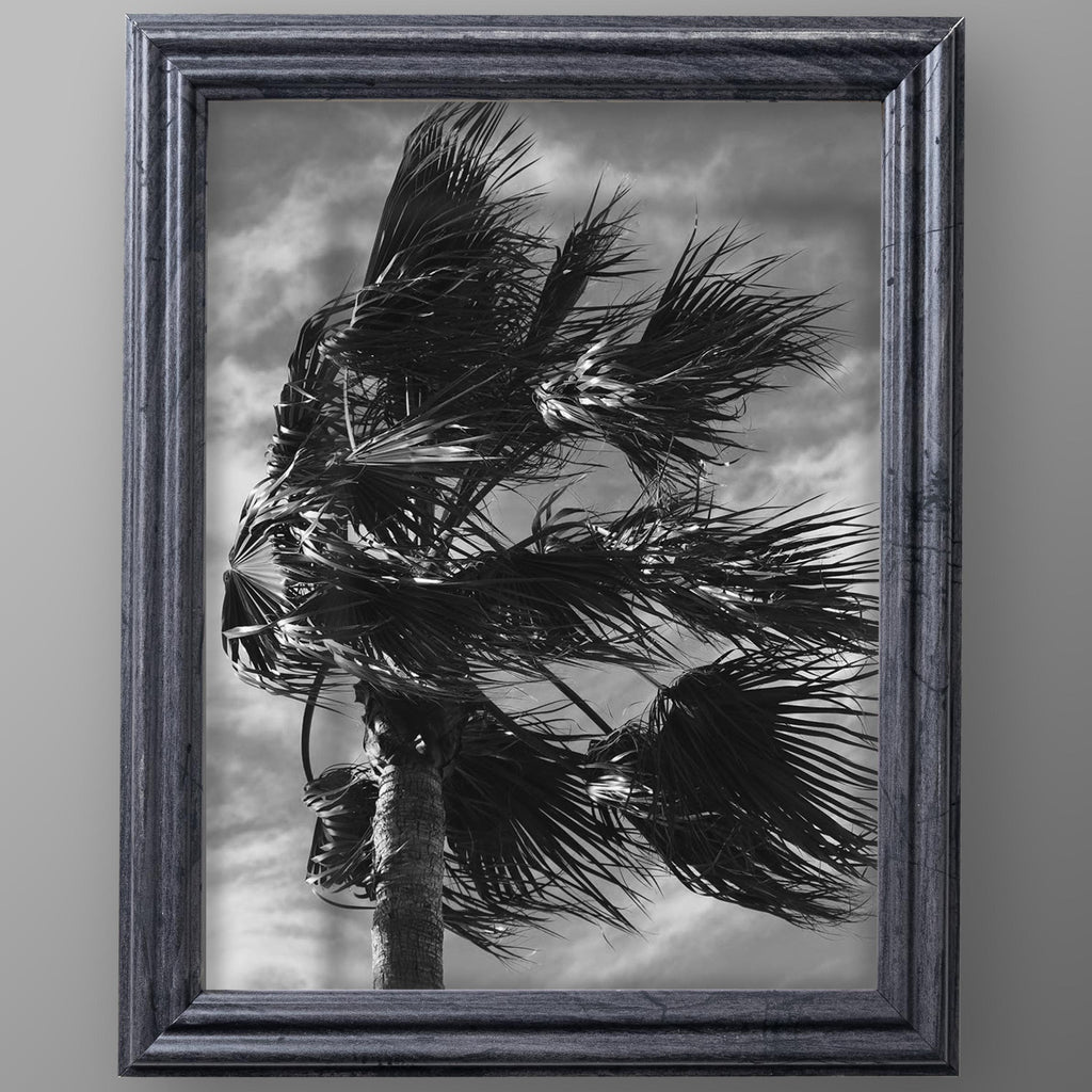 8x10 Distressed Gray Picture Frame Matted to 5x7, photo 3