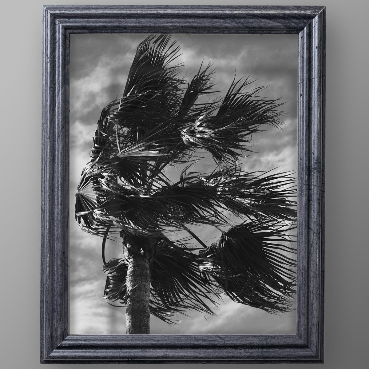 8x10 Distressed Gray Picture Frame Matted to 5x7, photo 3