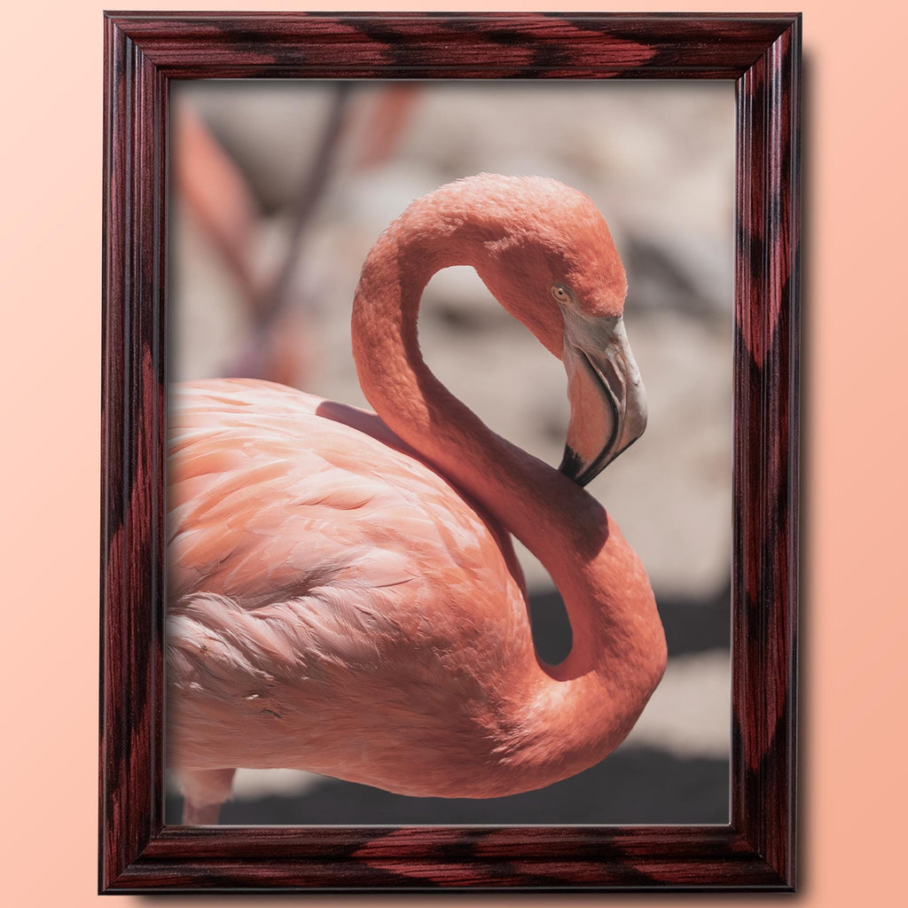 8x10 Cherry Picture Frame Matted to 5x7, photo 3