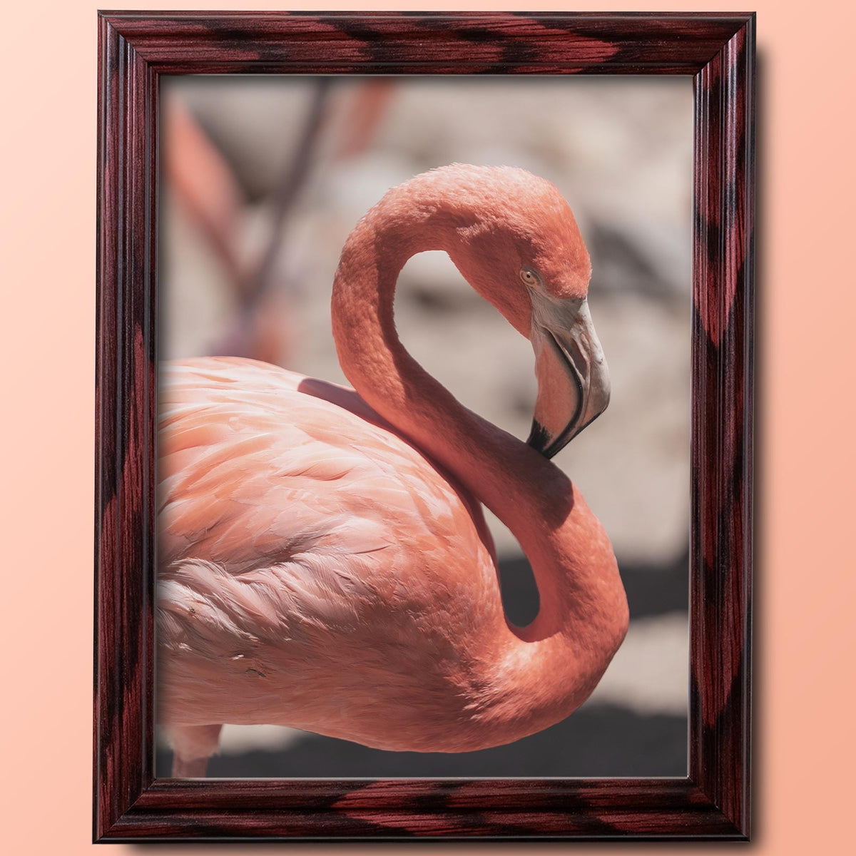 8x10 Cherry Picture Frame Matted to 5x7, photo 3