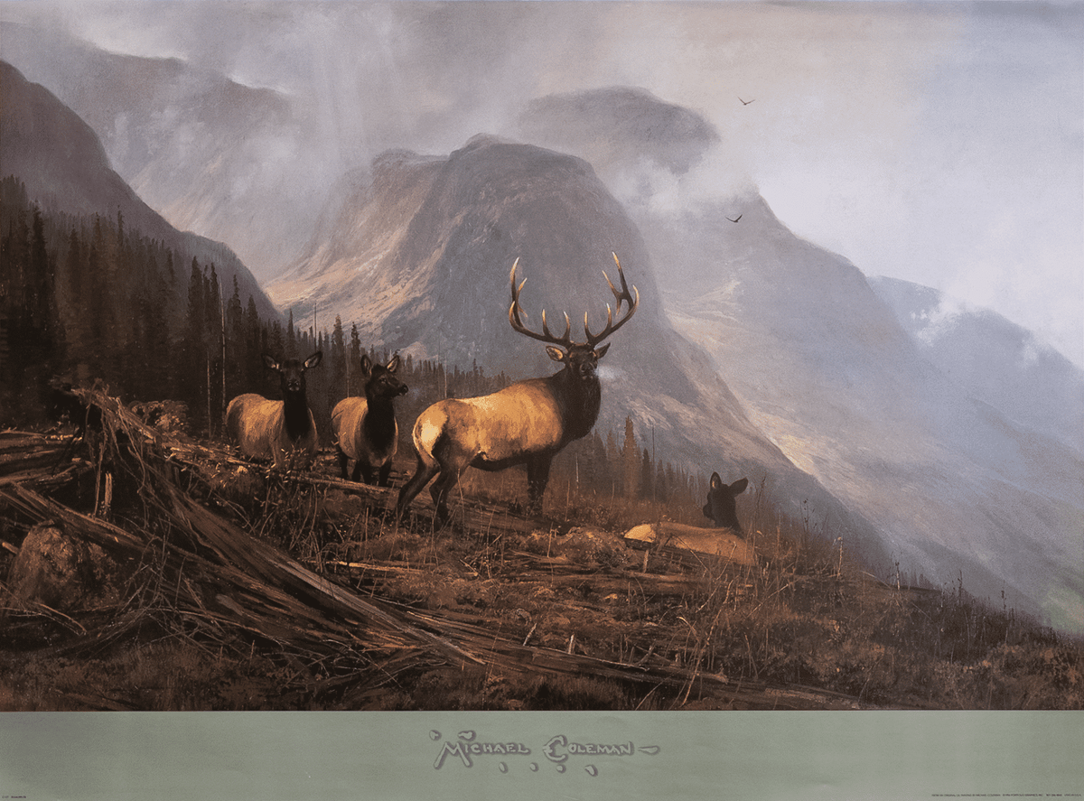 Bookcliffs Elk by Coleman art print