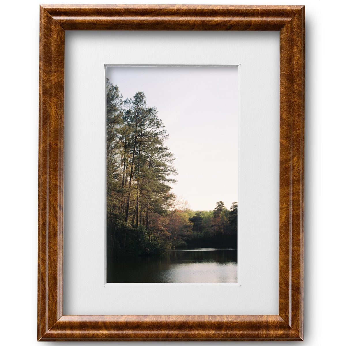 8x10 Brown Burl Picture Frame Matted to 5x7