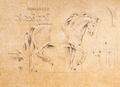 Equus I by Hartenhold art print