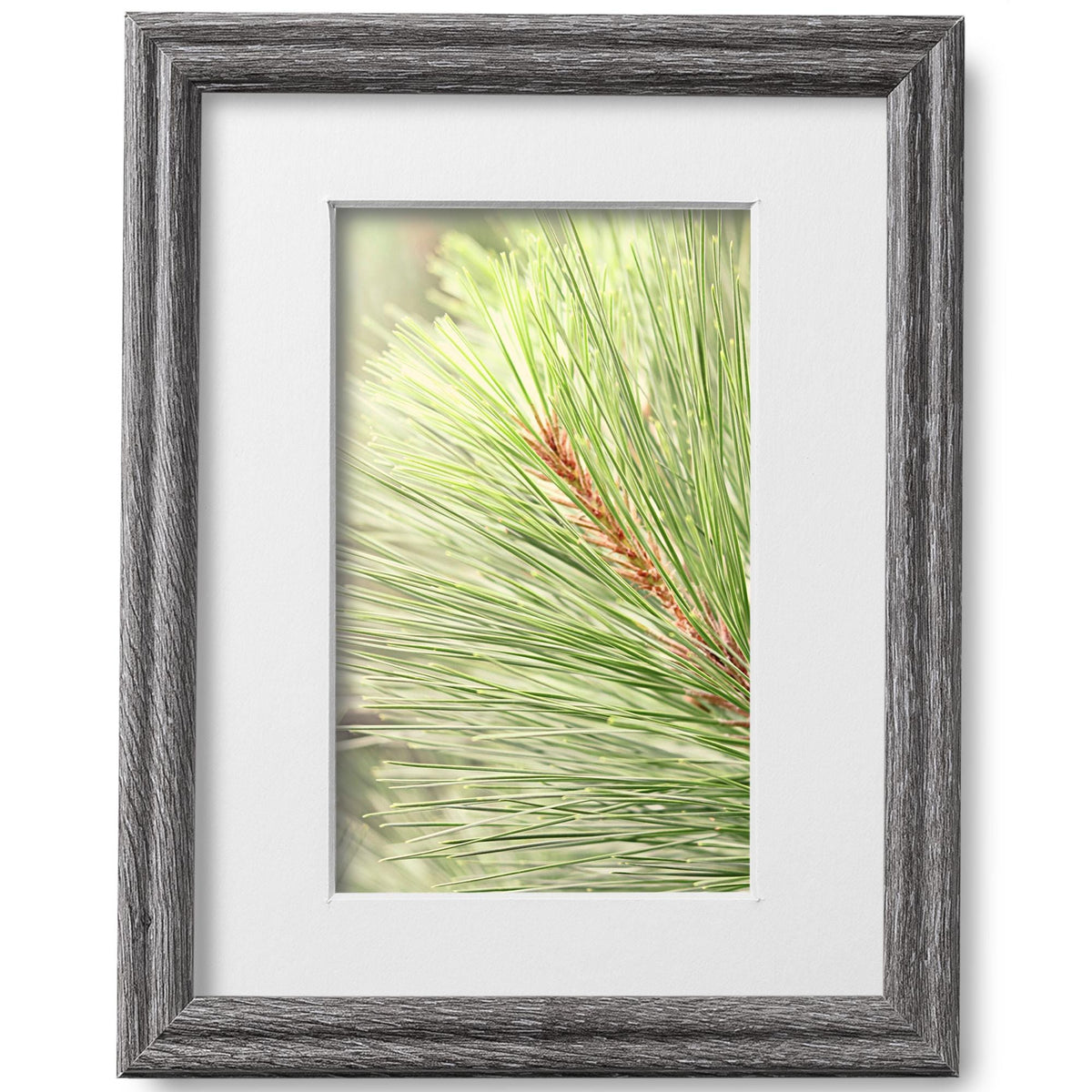 8x10 Barnwood Gray Picture Frame Matted to 5x7