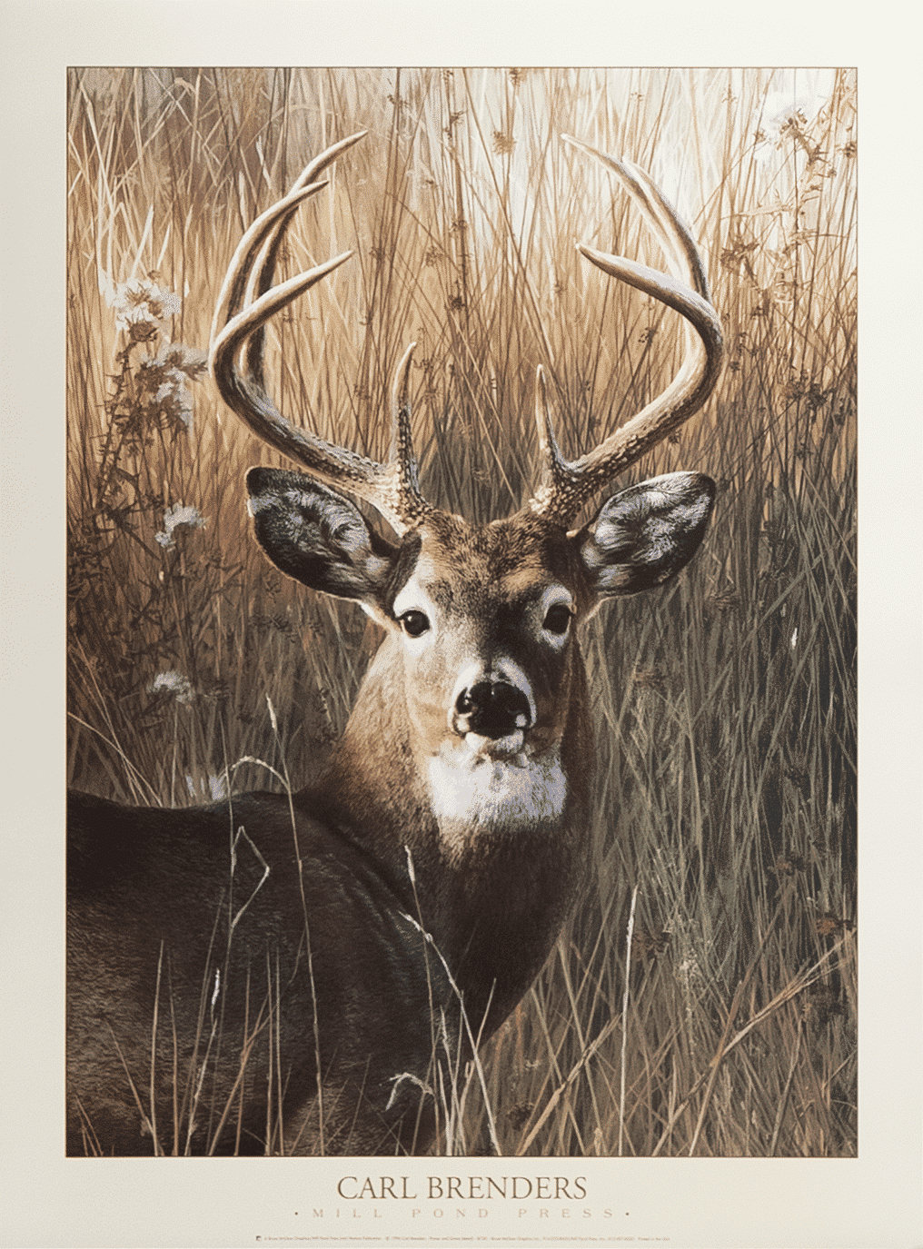 Power and Grace by Benders art print