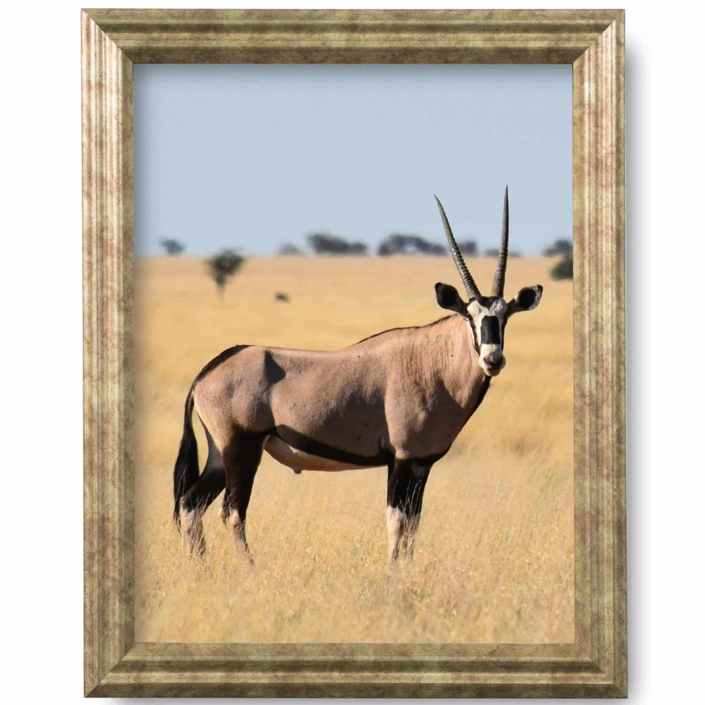 Desert Brass .75" Solid Wood Picture Frame