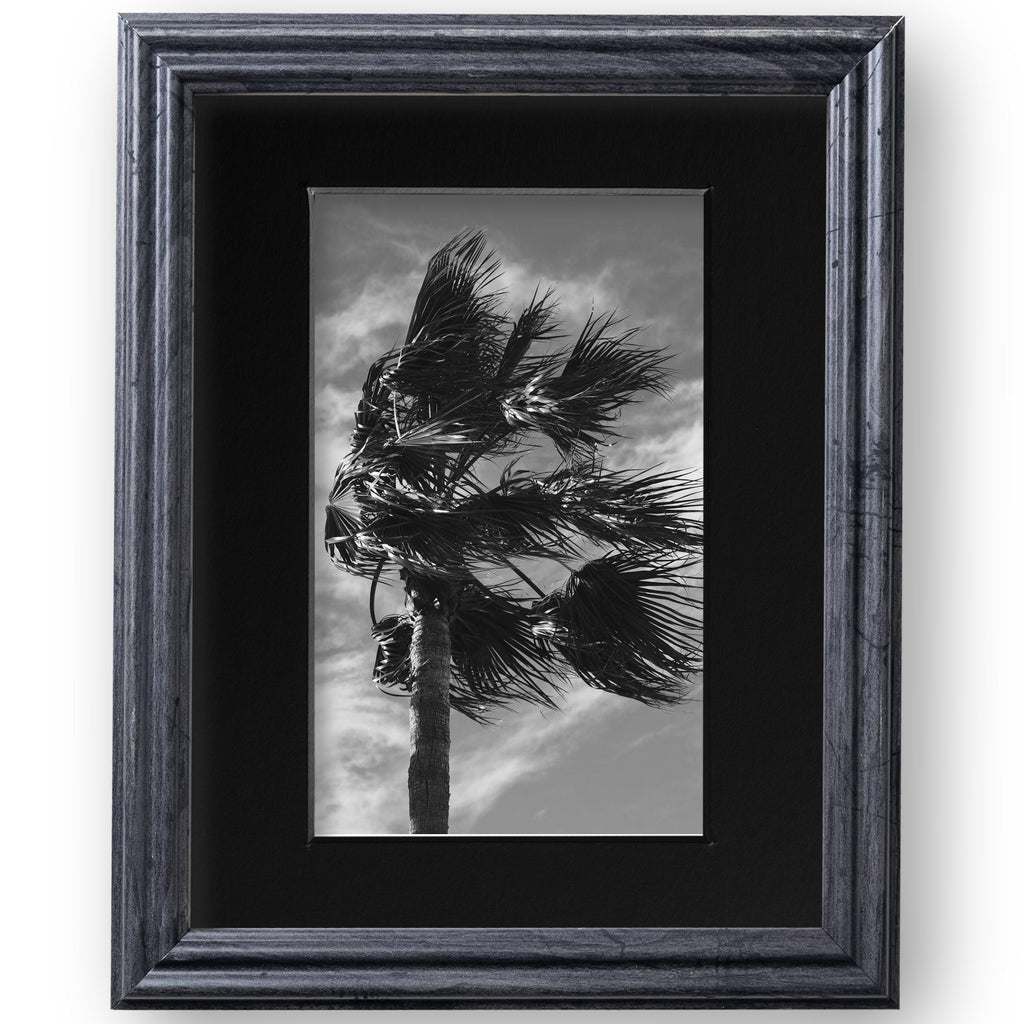 8x10 Distressed Gray Picture Frame Matted to 5x7, photo 2