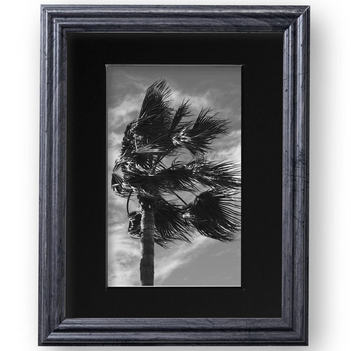 8x10 Distressed Gray Picture Frame Matted to 5x7, photo 2