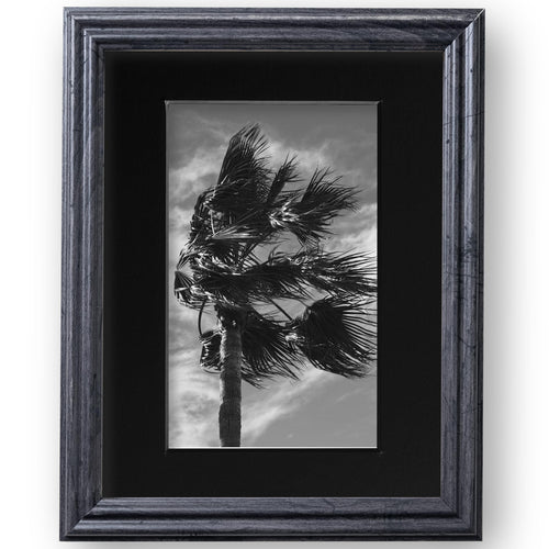 8x10 Distressed Gray Picture Frame Matted to 5x7, photo 2
