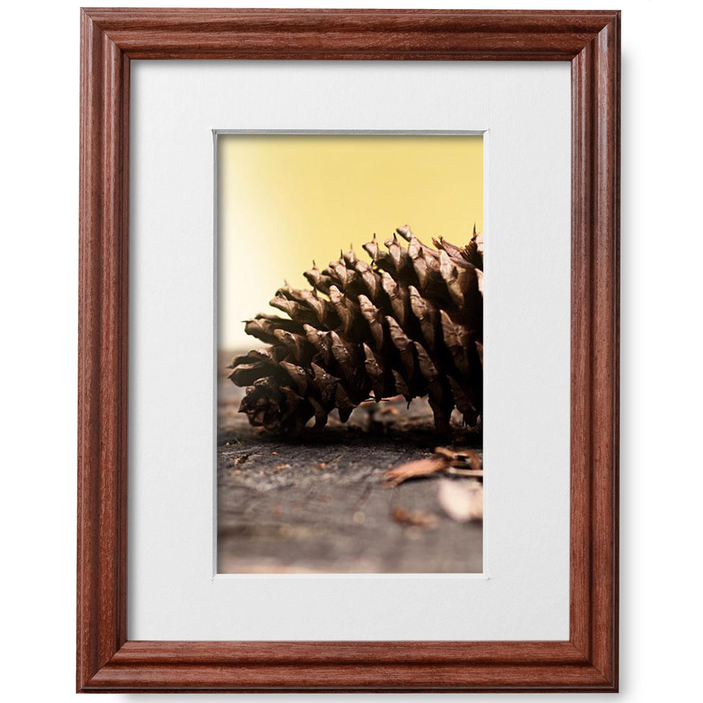 8x10 Walnut Picture Frame Matted to 5x7