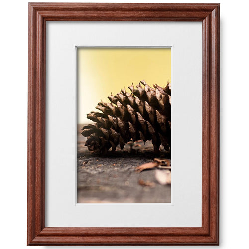 8x10 Walnut Picture Frame Matted to 5x7
