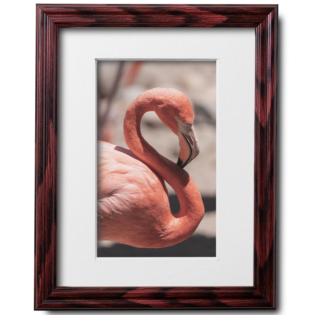 8x10 Cherry Picture Frame Matted to 5x7