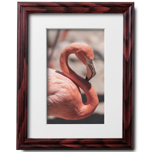 8x10 Cherry Picture Frame Matted to 5x7