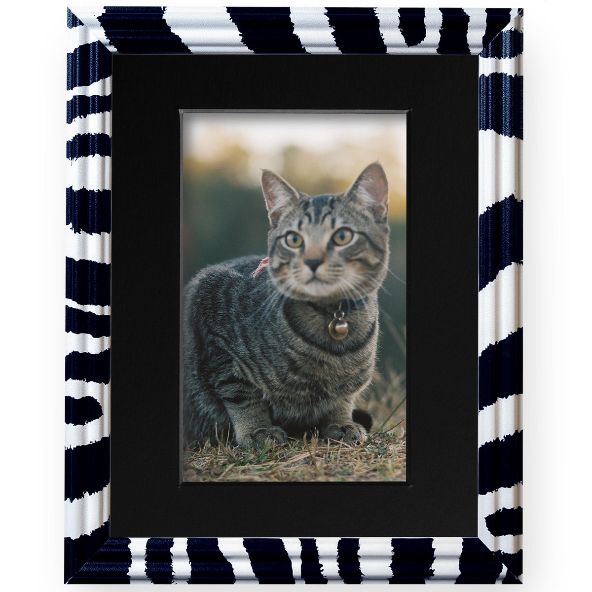 8x10 Zebra Print Picture Frame Matted to 5x7, photo 2