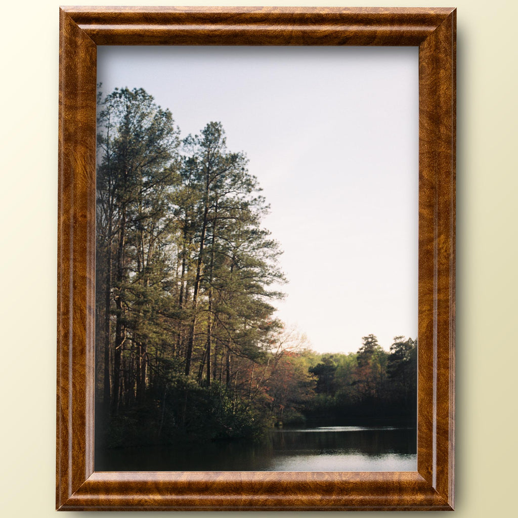8x10 Brown Burl Picture Frame Matted to 5x7, photo 3