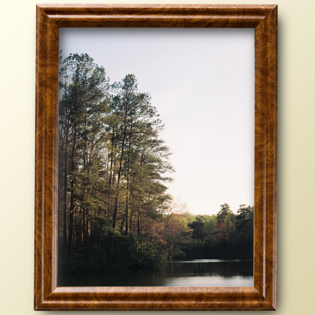 8x10 Brown Burl Picture Frame Matted to 5x7, photo 3