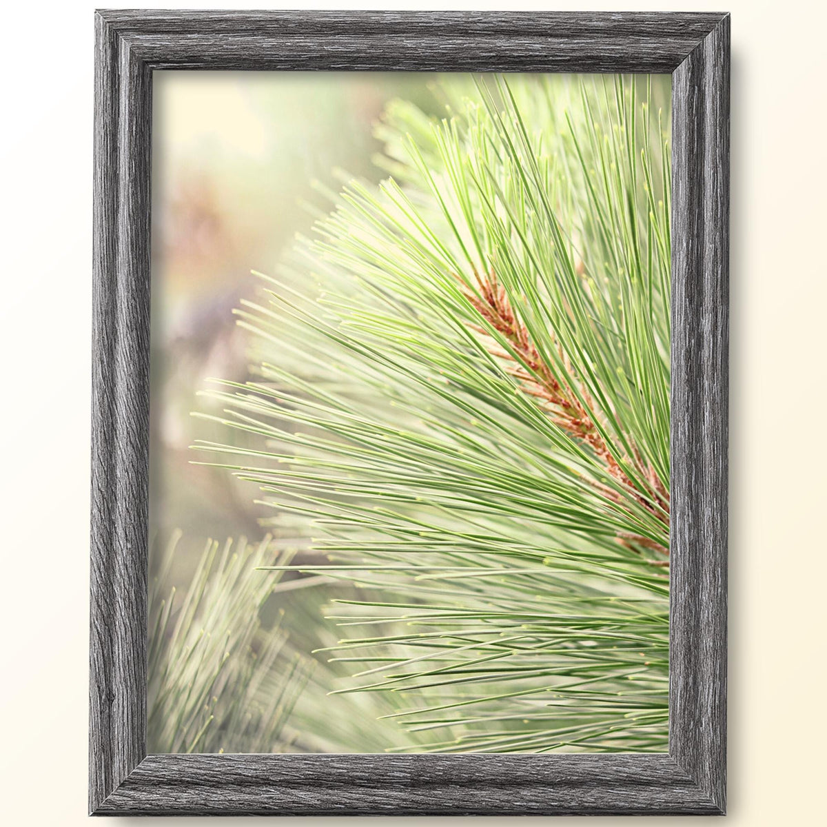 8x10 Barnwood Gray Picture Frame Matted to 5x7, photo 3