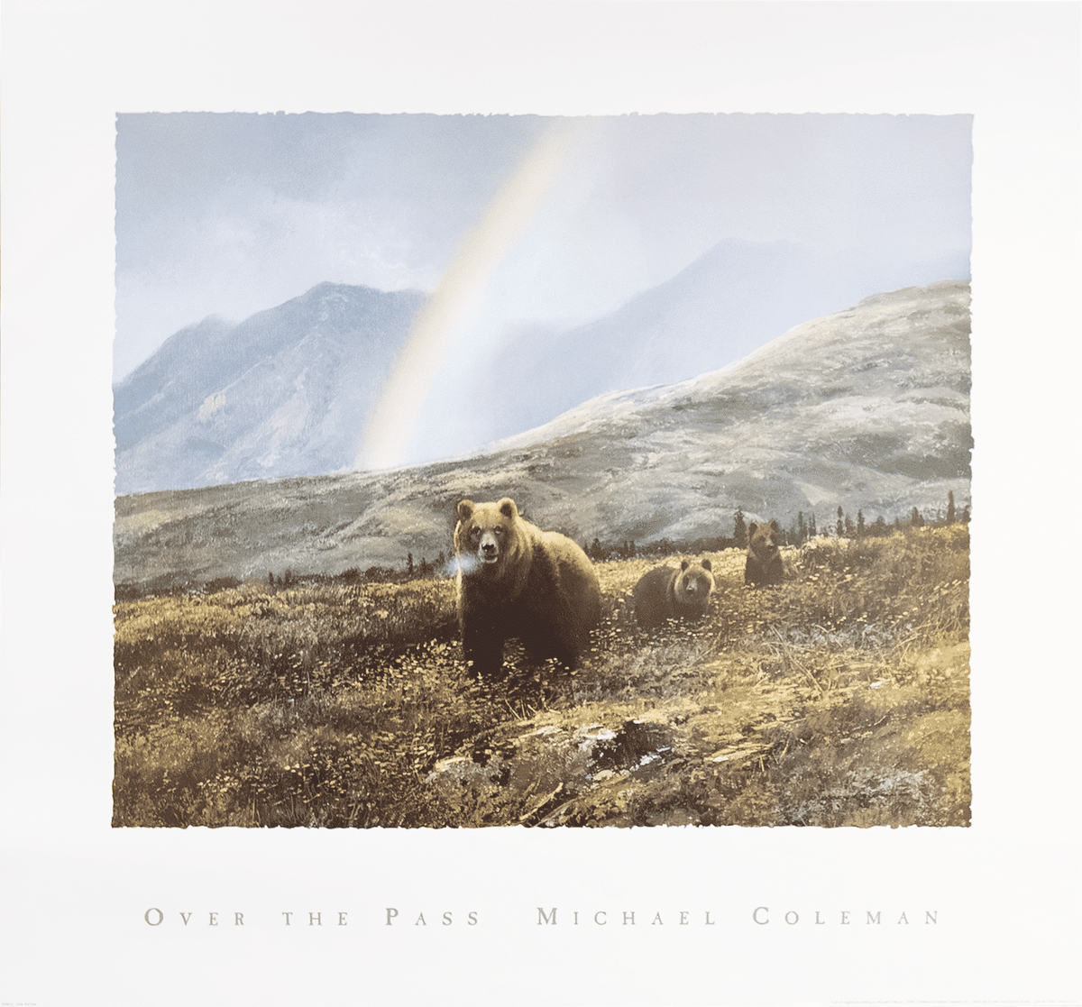 Over the Pass by Coleman art print