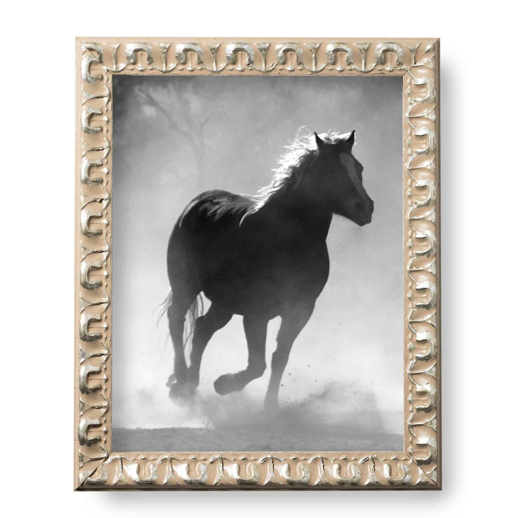 Horseshoe Silver .9" Ornate Picture Frame