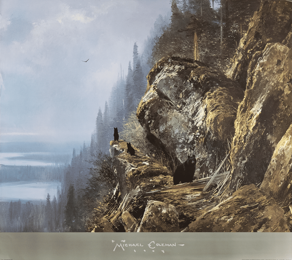 On the Nimpkish River by Coleman art print