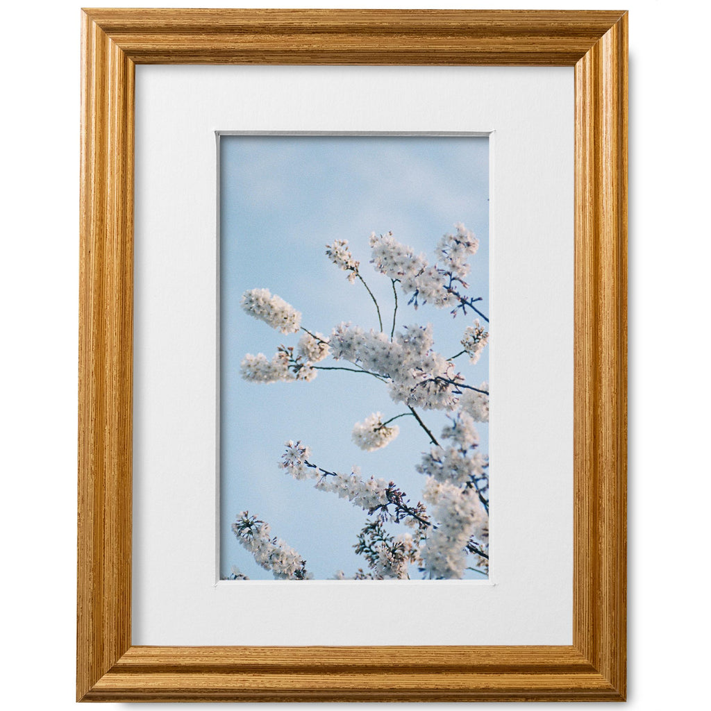 8x10 Honey Gold Picture Frame Matted to 5x7