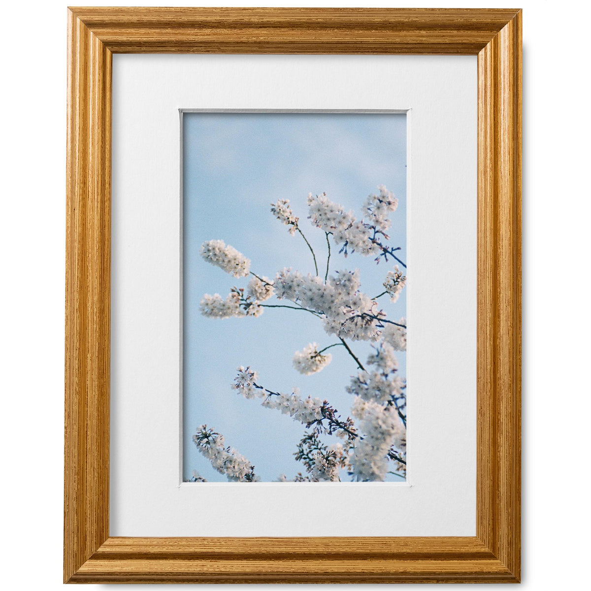 8x10 Honey Gold Picture Frame Matted to 5x7