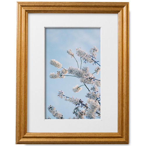 8x10 Honey Gold Picture Frame Matted to 5x7