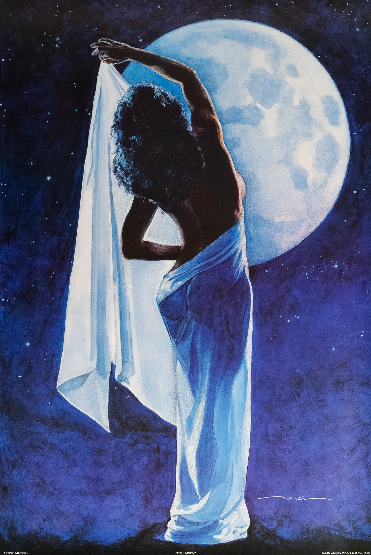 Full Moon art print