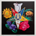 The Blooming Star art print