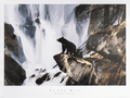 In the Mist by Coleman art print