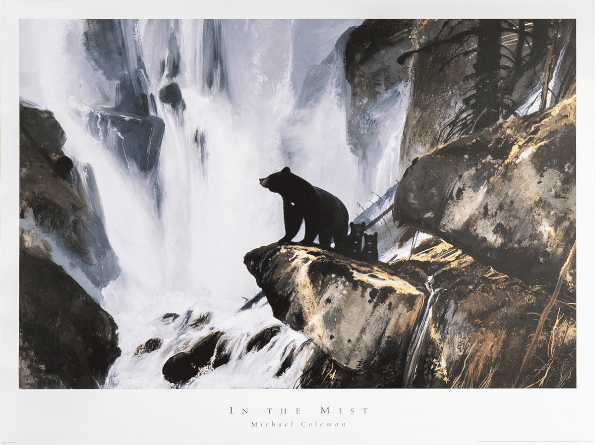 In the Mist by Coleman art print