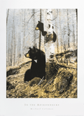In the Adirondacks by Coleman art print