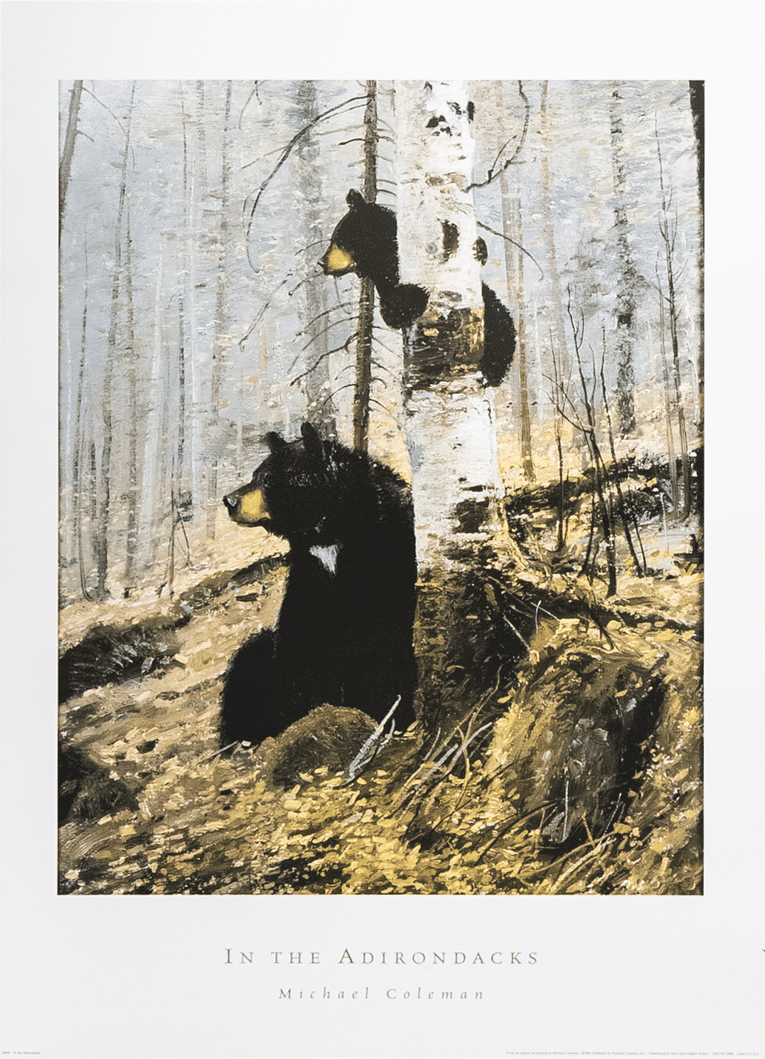 In the Adirondacks by Coleman art print