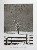 Winter Flight by Timberlake art print