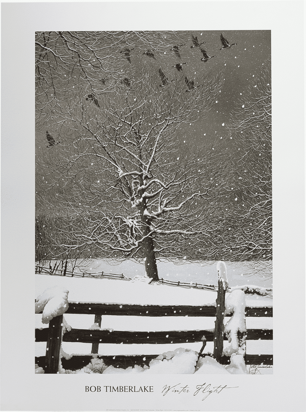 Winter Flight by Timberlake art print