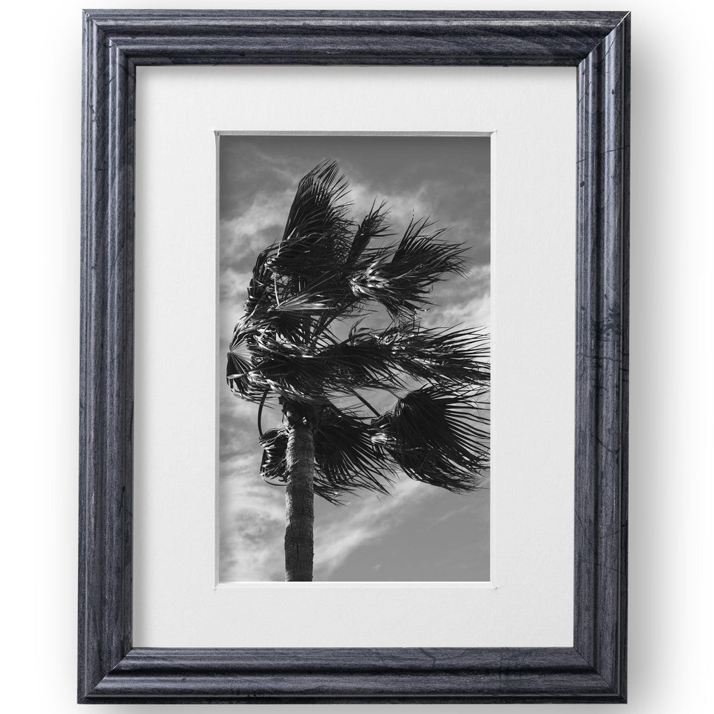 8x10 Distressed Gray Picture Frame Matted to 5x7