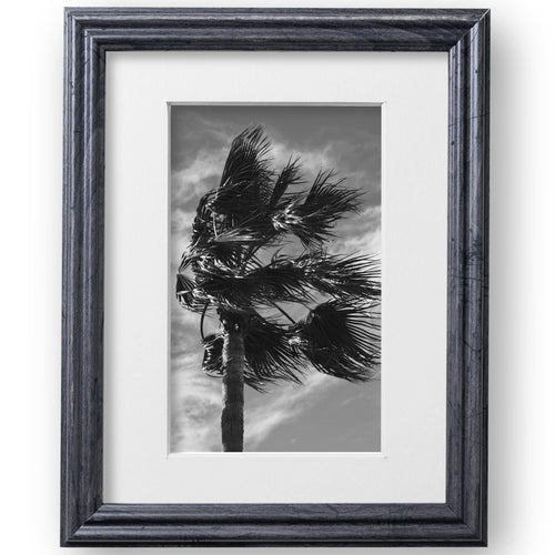8x10 Distressed Gray Picture Frame Matted to 5x7