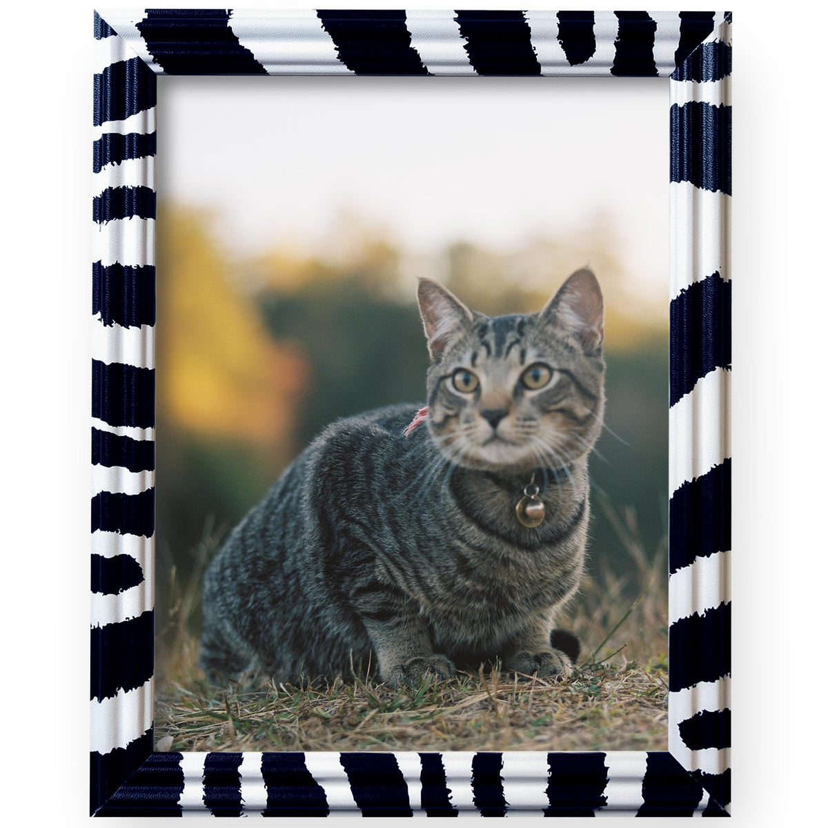 8x10 Zebra Print Picture Frame Matted to 5x7, photo 3
