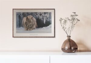 Dozing Lynx, by Bateman - 24x36 Art Poster Print for Wall, Home Decor
