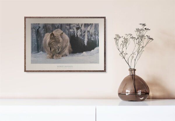Dozing Lynx, by Bateman - 24x36 Art Poster Print for Wall, Home Decor