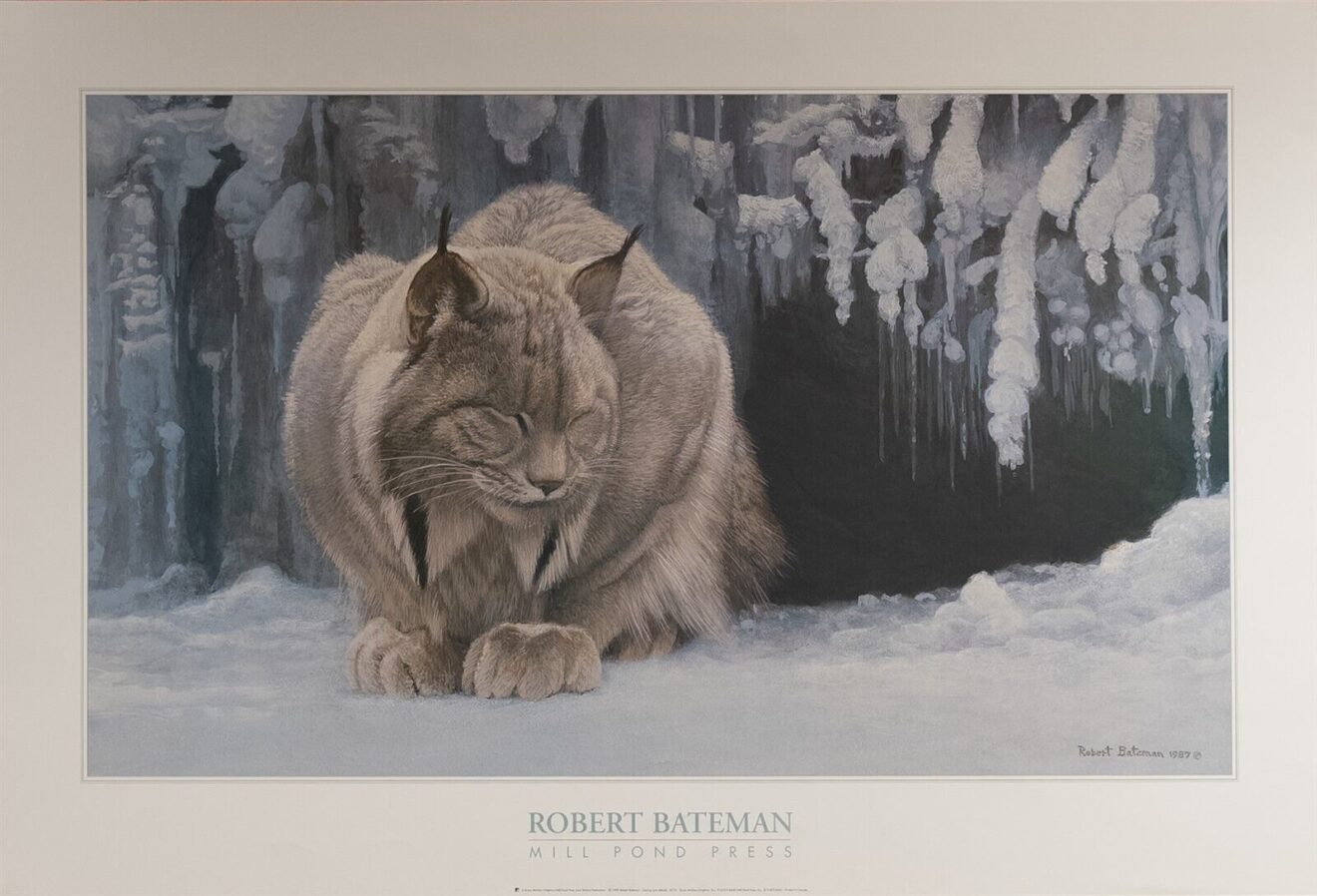 Dozing Lynx, by Bateman - 24x36 Art Poster Print for Wall, Home Decor - Image 2