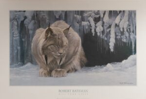 Dozing Lynx, by Bateman - 24x36 Art Poster Print for Wall, Home Decor - Image 2