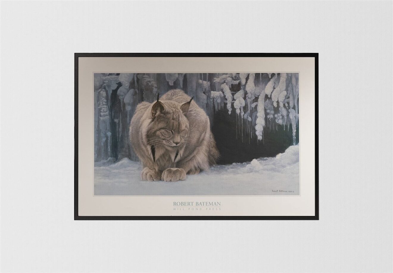 Dozing Lynx, by Bateman - 24x36 Art Poster Print for Wall, Home Decor - Image 3