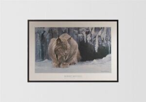 Dozing Lynx, by Bateman - 24x36 Art Poster Print for Wall, Home Decor - Image 3