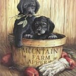 MOUNTAIN FARM APPLES I - 8x10 Inch