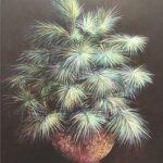 REA'S PALM II - 8x10 Inch