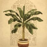 RAYMOND'S PALM II - 8x10 Inch