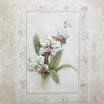 ORCHID I - 8x10 Inch