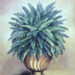ANN'S POTTED PALM I - 8x10 Inch